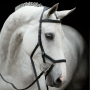 HORSEWARE - Rambo Micklem bridle