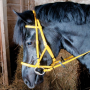 Tde T - Biotack bridle