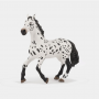 PAPO - Grand cheval appaloosa