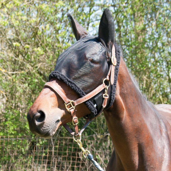 T DE T - Bonnet de pré avec oreilles