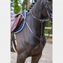 JUMPIN - Collier de chasse Clincher + Martingale - Collection One Premium