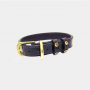 CAVALETTI - Dog collar