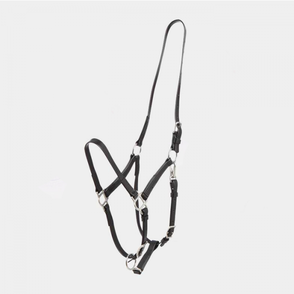 ZILCO - Deluxe Endurance halter