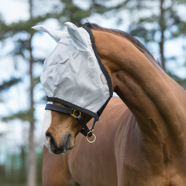 AMIGO - Fly mask with ears