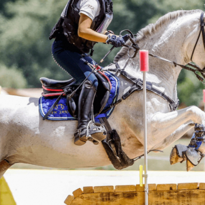 Comment bien ajuster un bridon à votre cheval ?